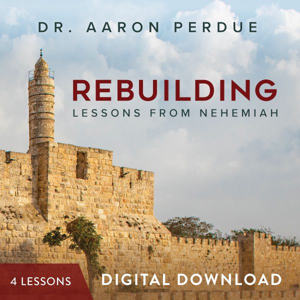 Rebuilding Digital Download from Dr. Aaron Perdue