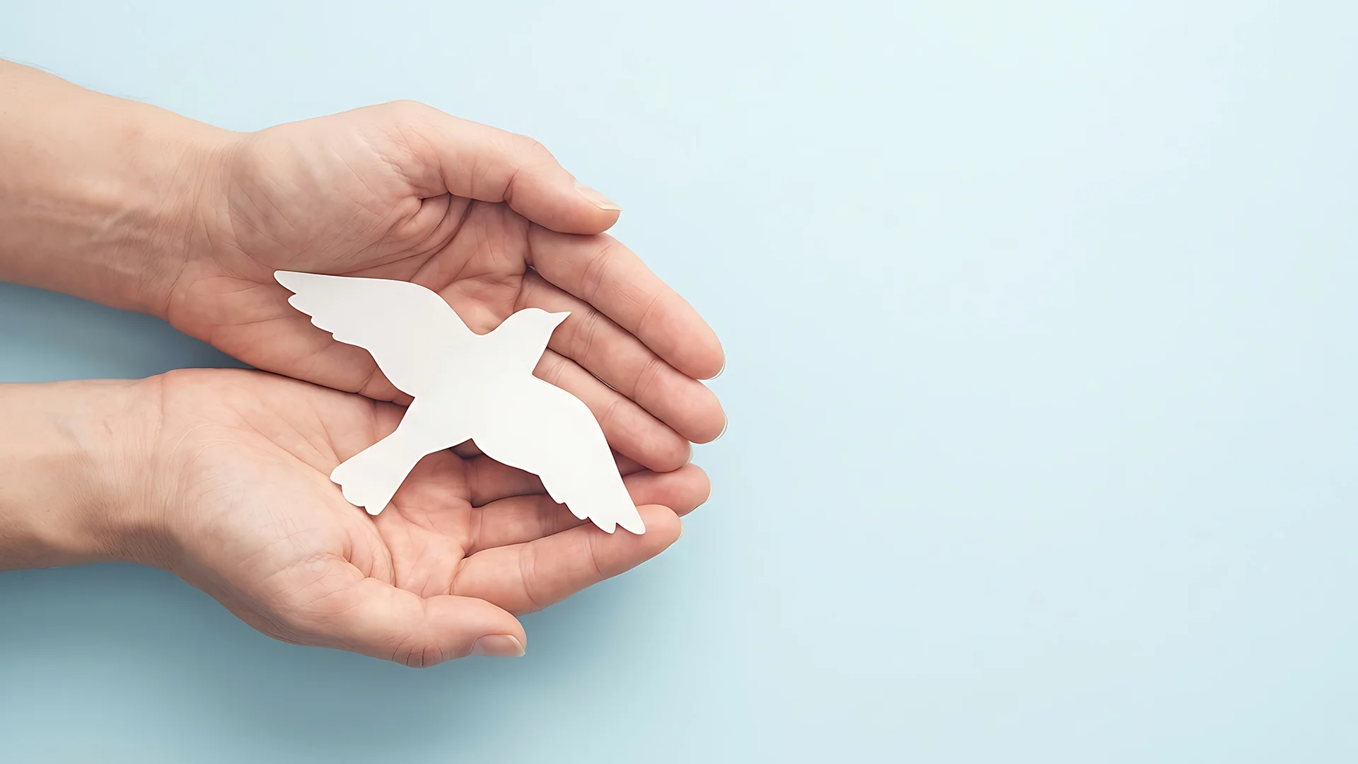 Hands holding paper bird cutout
